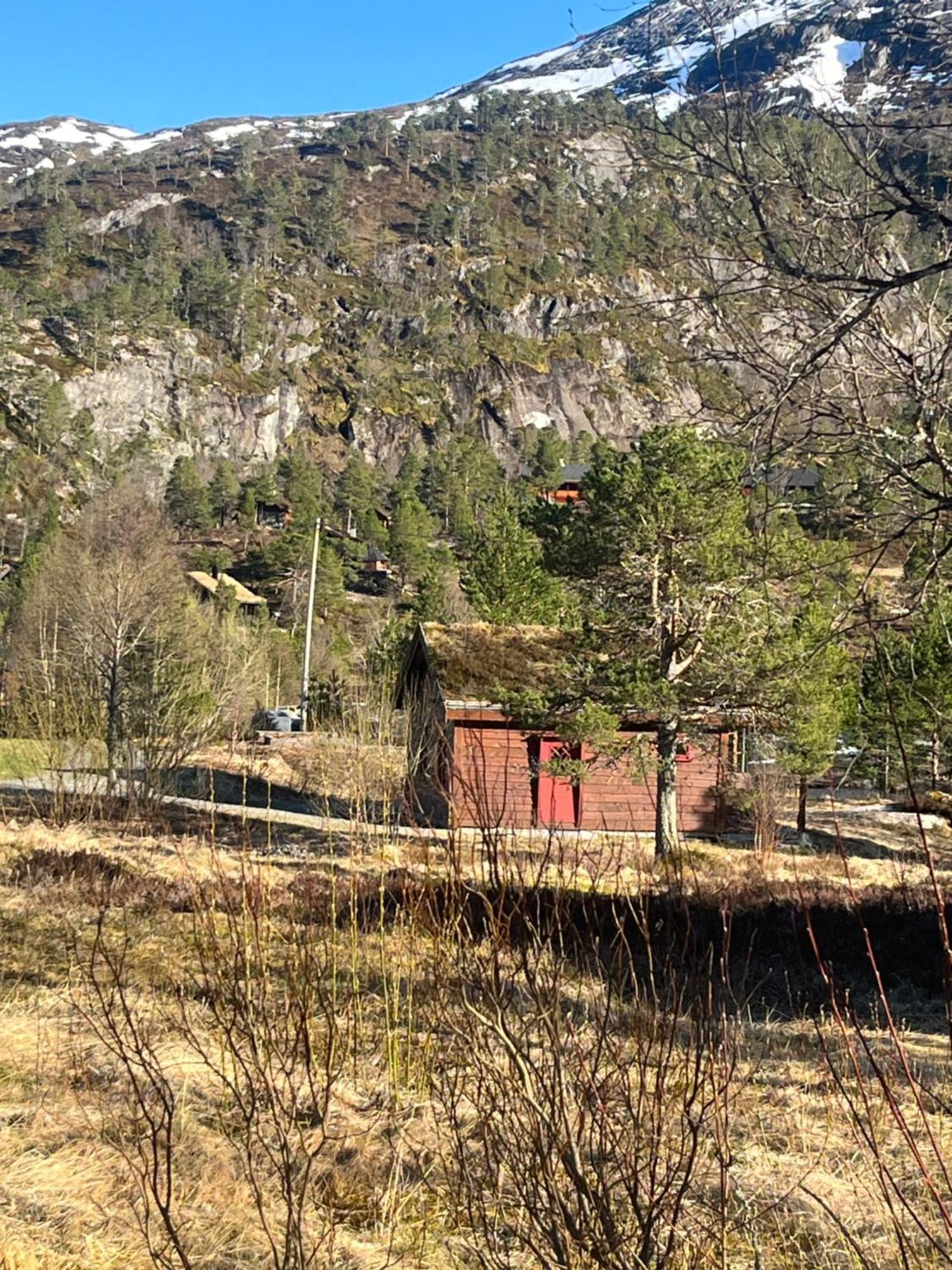 Bua Lägenhet Viksdalen Exteriör bild